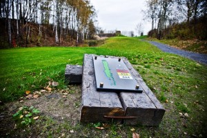 Srebnre_Stawy 203 Srebnre_Stawy 203